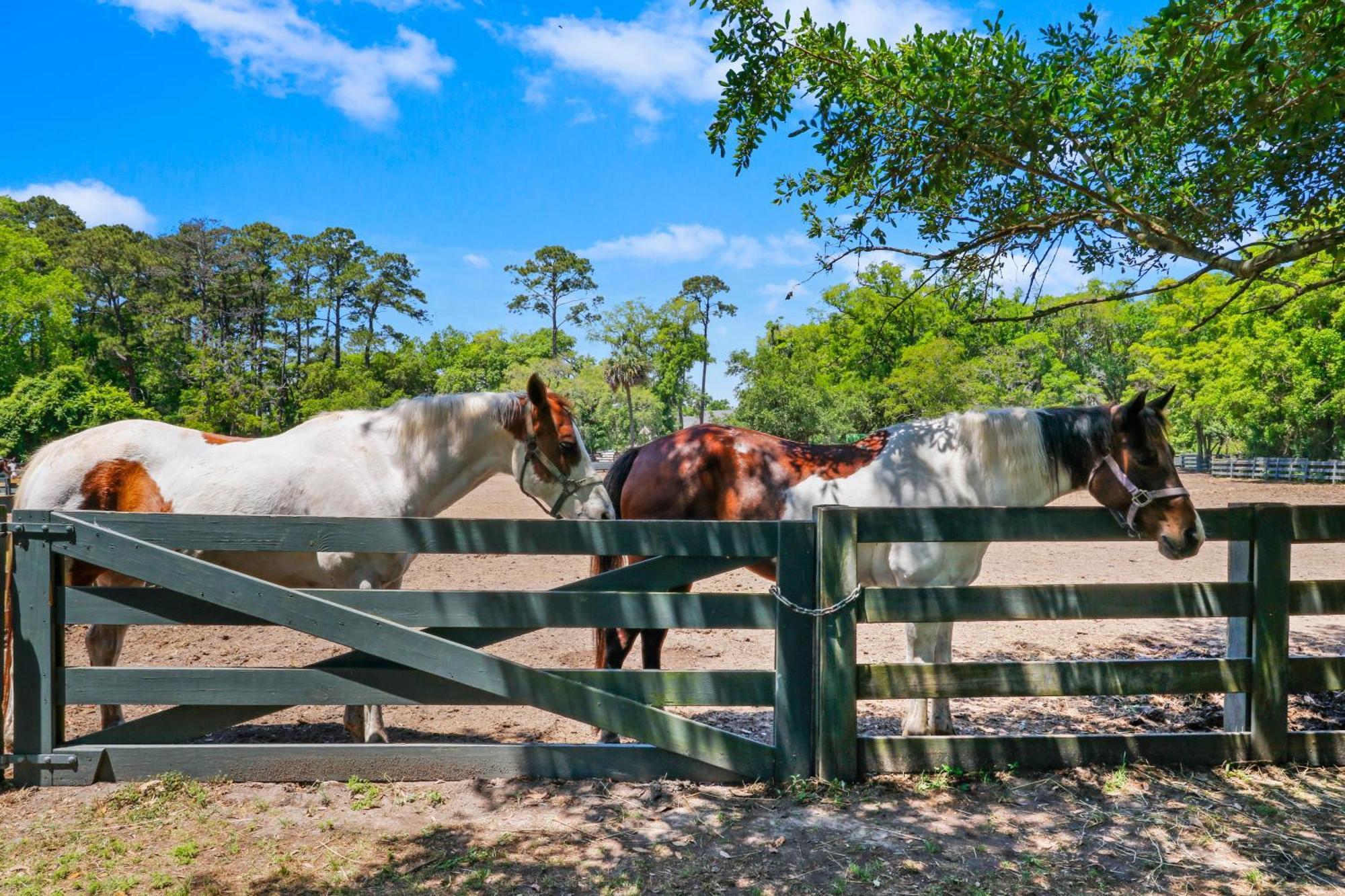 5 Rice Lane Βίλα Hilton Head Island Εξωτερικό φωτογραφία